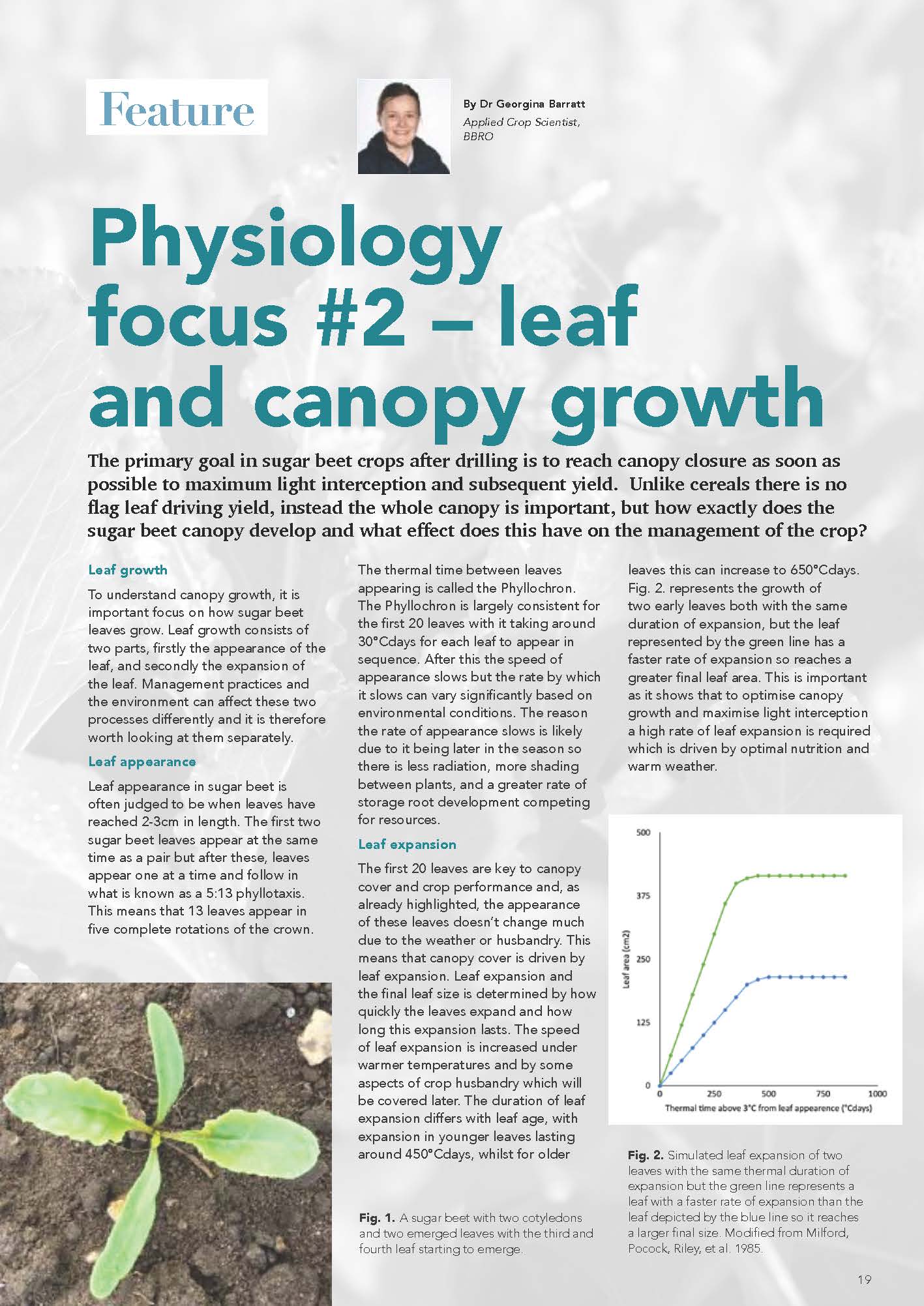 22 Jan Sugar beet leaf and canopy growth