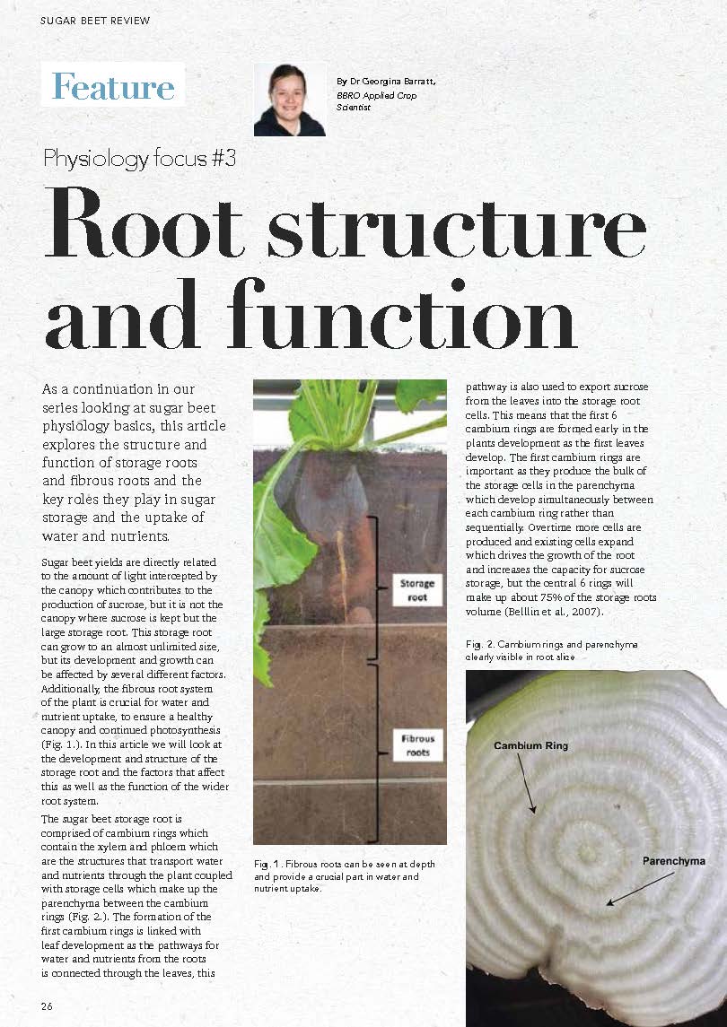 22 May Root structure and function