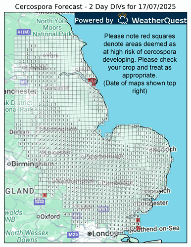 Cercospora risk forecast