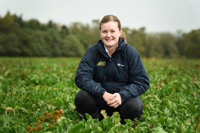 Tackling drought risk in sugar beet production
