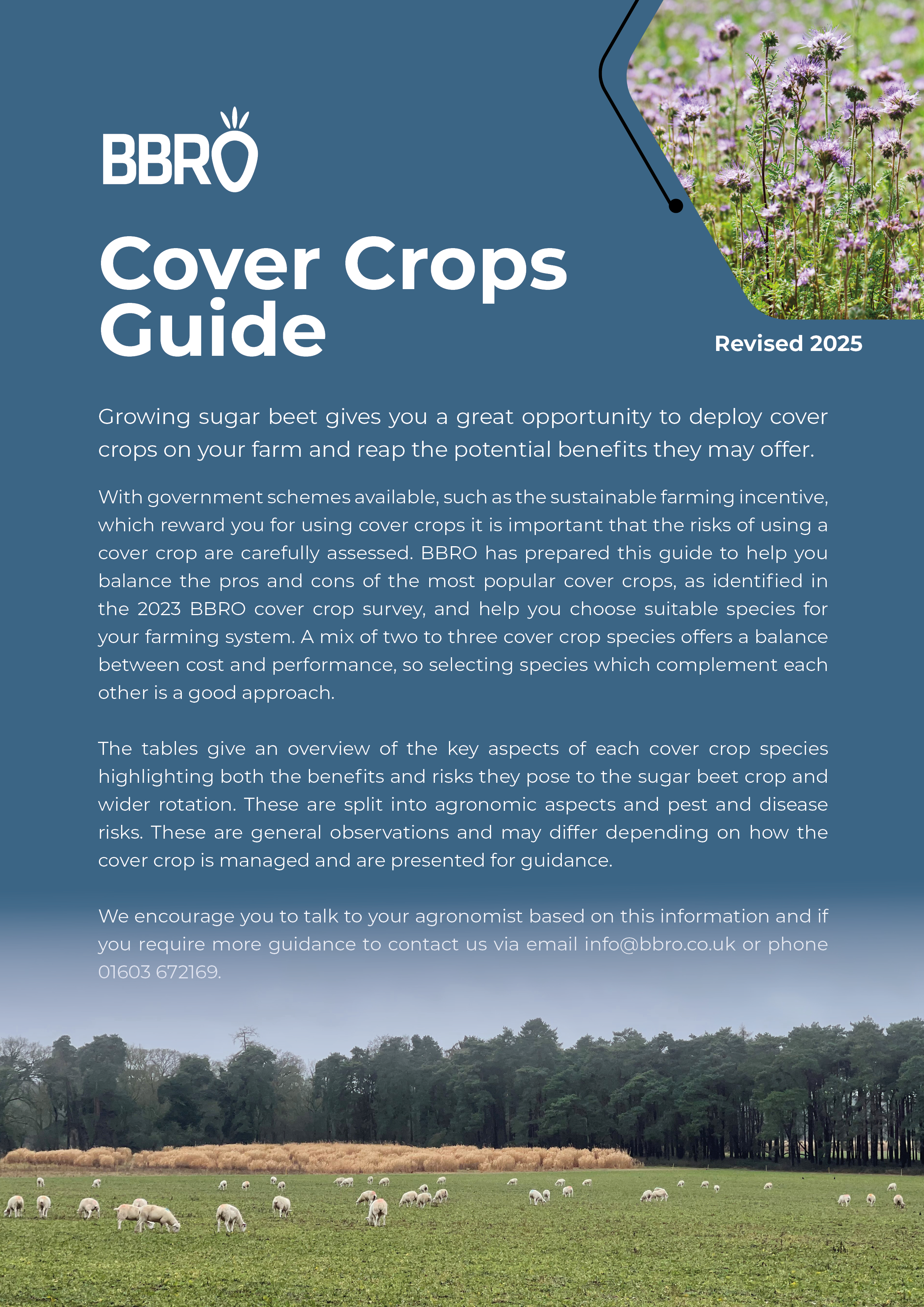 Cover Crops Guide 2025