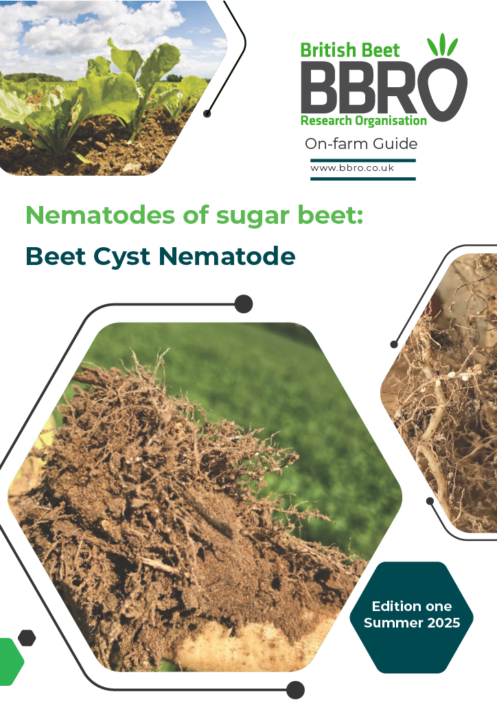 Beet Moth Information Pack