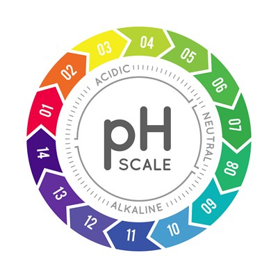 Soil pH (June 2020)