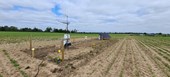 Cu: Exploring sustainable soil management approaches in sugar beet production