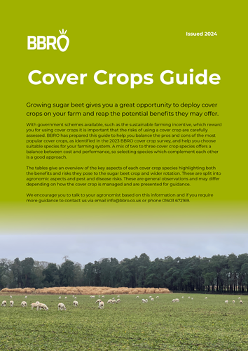 Cover Crop Guide