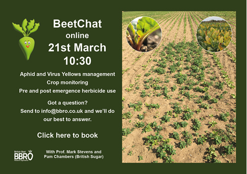 Sugar beet growers online event